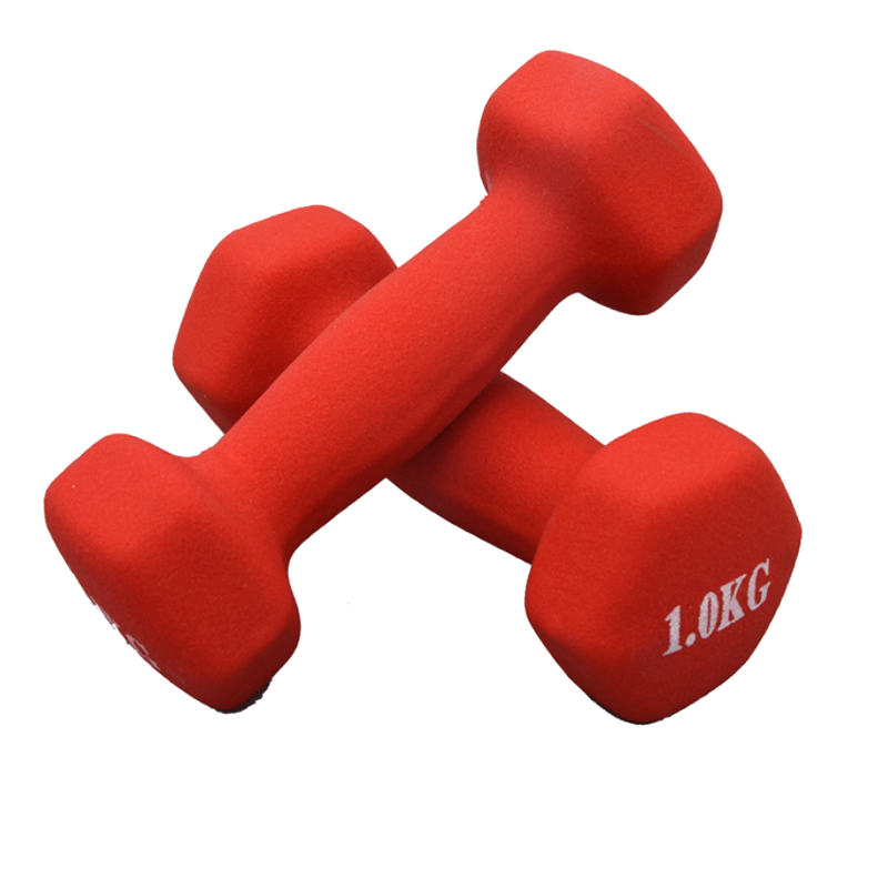 Wholesale Cast Iron Rubber Coated Dumbbell Fitness Equipment