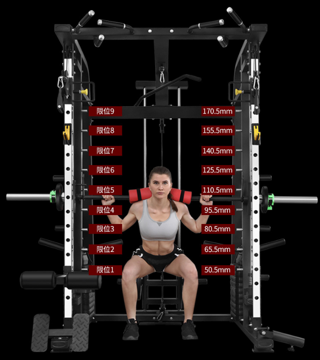 Wholesale Smith squatting machine for fitness expert/squat rack