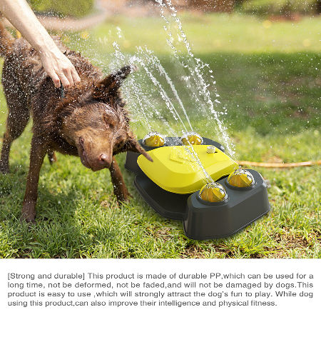 Dog Drinking Fountain Outdoor Bathing Shower 2 in 1 Automatic Drinker Outdoor Sprinkler Education