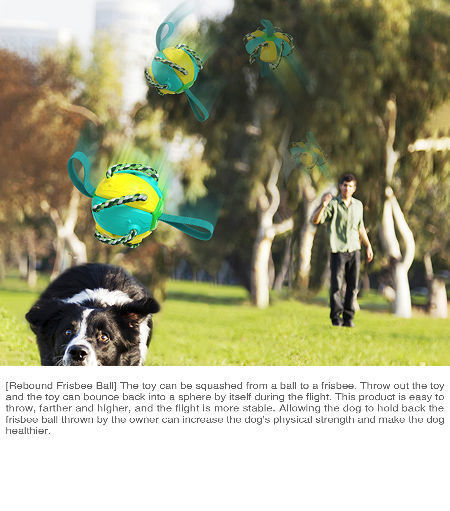 Frisbee Ball Training Ball Throwing Interactive Rebound Ball For Dog Toys Pet Training Ball 9.21Oz